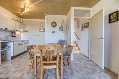 Lamsoor 3b Nieuwvliet-20.jpg